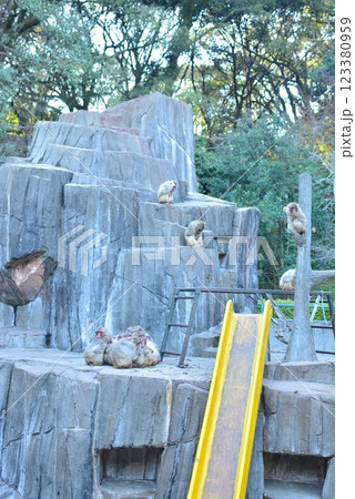 福岡市動植物園 福岡市動植物園 123380959
