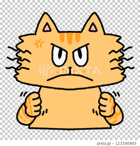 怒っているねこのイラスト 怒っているねこのイラスト 123380983