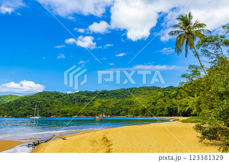Mangrove and Pouso beach on tropical island Ilha Grande Brazil. 123381329