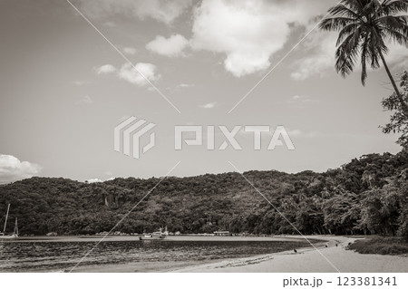 Mangrove and Pouso beach on tropical island Ilha Grande Brazil. Mangrove and Pouso beach on tropical island Ilha Grande Brazil. 123381341