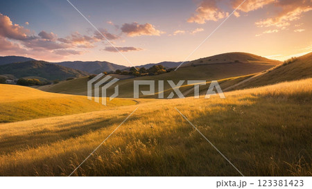 夕日に照らされる草原 123381423