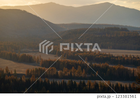 Golden hour landscape with forested hills and soft autumn sunlight 123381561
