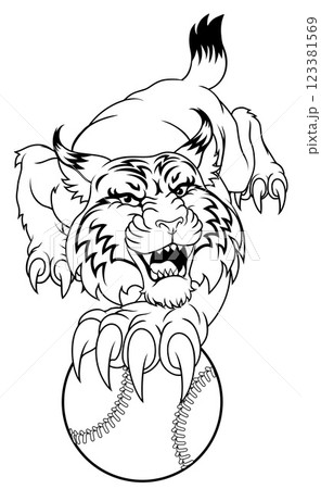 Wildcat Bobcat Baseball Ball Animal Team Mascot 123381569