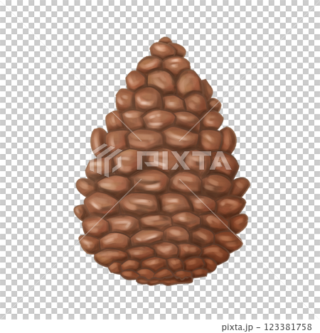 A dry pine cone is a close plan. Autumn and winter natural rustic decoration. Cozy handmade decor from recyclable materials, eco toy for a Christmas tree. Minimalistic gifts. Isolated illustration 123381758