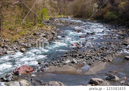 北海道占冠村、山あいを流れる春の鵡川【5月】 123381835