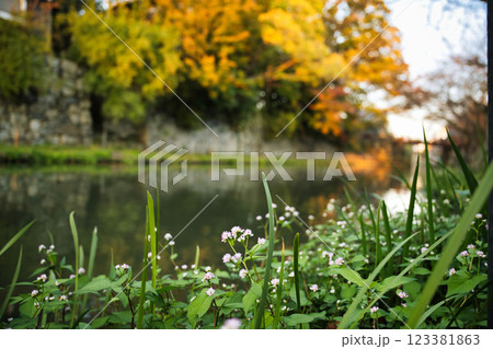 八幡堀2023年秋 八幡堀2023年秋 123381863