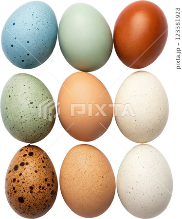 Vibrant Assortment of Colorful and Naturally Speckled Eggs Arranged in a Studio Setting 123381928
