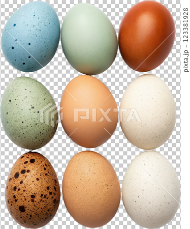 Vibrant Assortment of Colorful and Naturally Speckled Eggs Arranged in a Studio Setting 123381928