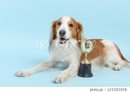 トロフィーと犬　 123381938