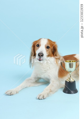 トロフィーと犬　 123381939