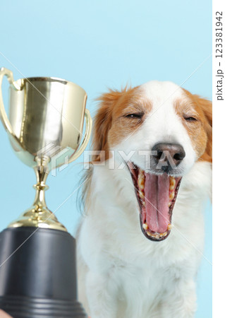 トロフィーと犬 トロフィーと犬 123381942