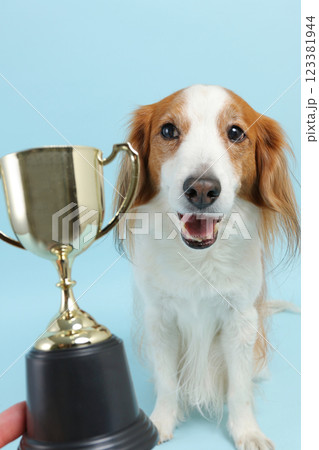 トロフィーと犬　 123381944
