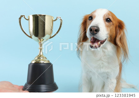 トロフィーと犬　 123381945