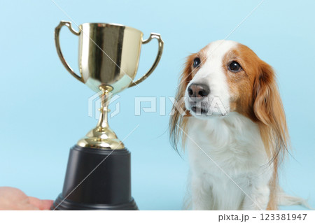 トロフィーと犬　 123381947
