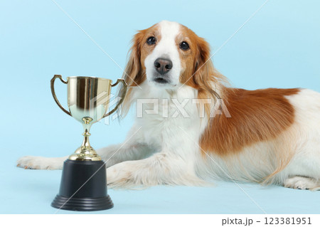 トロフィーと犬　 123381951
