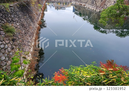 大阪城 東外堀 大阪城 東外堀 123381952