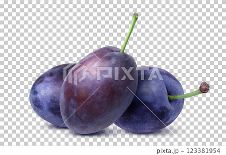 Prune illustration realistic Prune illustration realistic 123381954