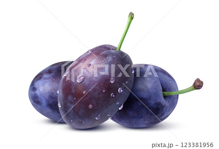 プルーン イラスト リアル プルーン イラスト リアル 123381956