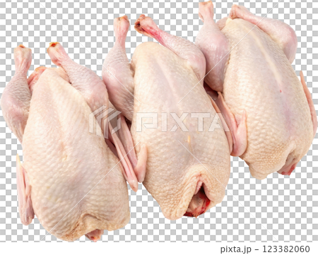 Bunch of Raw Whole Chickens Ready for Cooking 123382060
