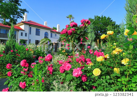 【神奈川県】快晴の港の見える丘公園と満開のバラ（イギリス館） 123382341