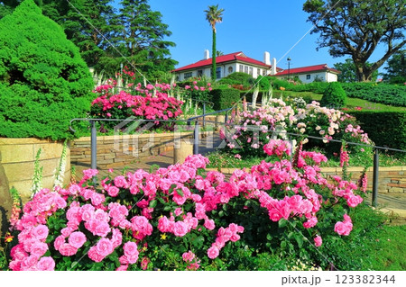 【神奈川県】快晴の港の見える丘公園と満開のバラ（イギリス館） 123382344