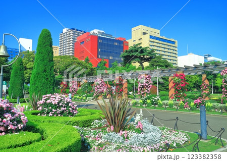 【神奈川県】快晴の山下公園と満開のバラ（みなとガーデン） 123382358