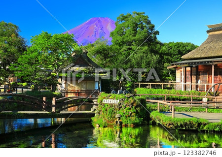 【山梨県】夏の富士山(赤富士)と忍野八海池(中池) 【山梨県】夏の富士山(赤富士)と忍野八海池(中池) 123382746