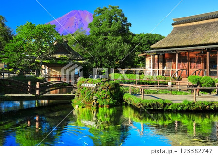 【山梨県】夏の富士山（赤富士）と忍野八海池（中池） 123382747