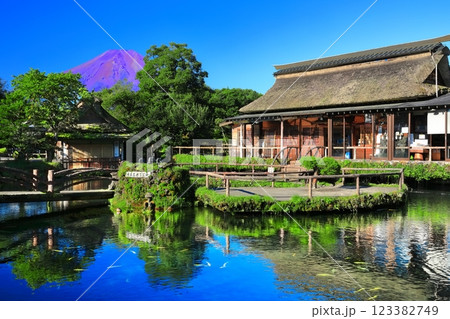 【山梨県】夏の富士山（赤富士）と忍野八海池（中池） 123382749