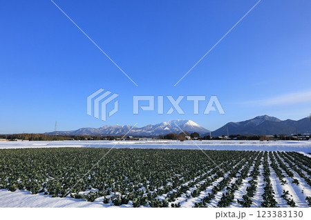 雪の大山と田園風景　21 123383130
