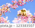 桜　春　風景　野鳥 123383507