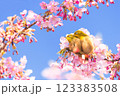 桜　春　風景　野鳥 123383508