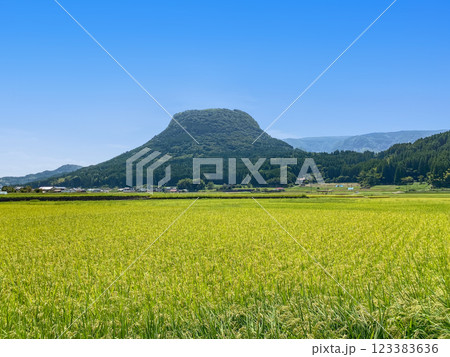 玖珠盆地の水田と伐株山 玖珠盆地の水田と伐株山 123383636