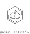 Pear and apple icon inside hexagonal frame on white background. Vector fruit black line pictogram. Tropical themes, fruits, pollen, field honey in a minimalistic style. 123383737