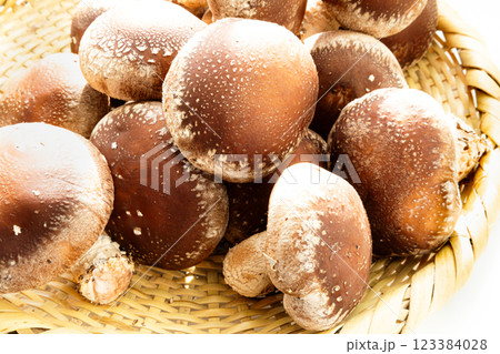 笊に乗った美味しそうでたくさんの椎茸のイメージ 笊に乗った美味しそうでたくさんの椎茸のイメージ 123384028