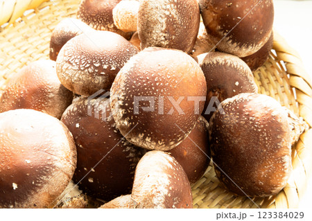 笊に乗った美味しそうでたくさんの椎茸のイメージ 笊に乗った美味しそうでたくさんの椎茸のイメージ 123384029