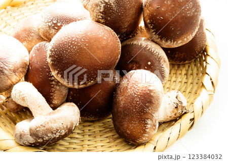 笊に乗った美味しそうでたくさんの椎茸のイメージ 笊に乗った美味しそうでたくさんの椎茸のイメージ 123384032