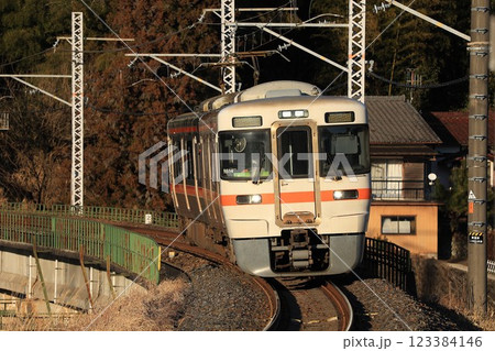 【JR東海】夕方の313系1300番台(中央本線:落合川〜中津川) 【JR東海】夕方の313系1300番台(中央本線:落合川〜中津川) 123384146
