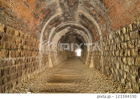 長尾山第3トンネル（福知山線廃線敷） 123384330