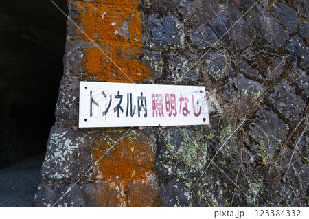 福知山線廃線敷のトンネル 123384332