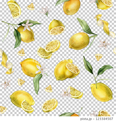 Seamless pattern with watercolor illustration of slice and whole lemon, peel or zest Lemon. Repeat ornament Hand painted lemon branch with green leaf and white flowers on white isolated background. 123384507