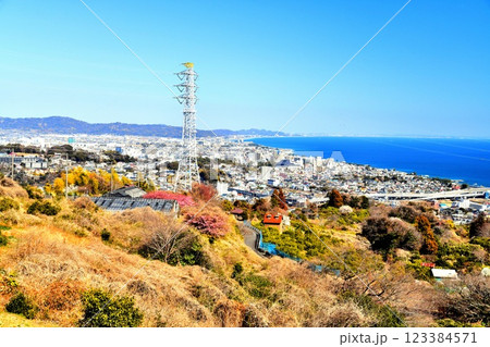 小田原市中心街(南町、本町)周辺を望む(神奈川県小田原市)【2025.2】 123384571