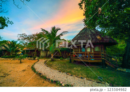 南国リゾート 123384982