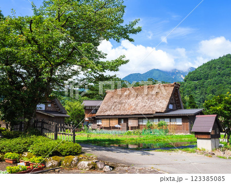 日本の原風景　夏の白川郷 123385085