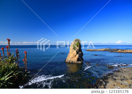 冬の湘南・立石海岸 123385176