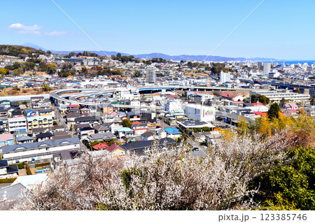 小田原市中心街／小田原城周辺を望む(神奈川県小田原市)【2025.2】 123385746