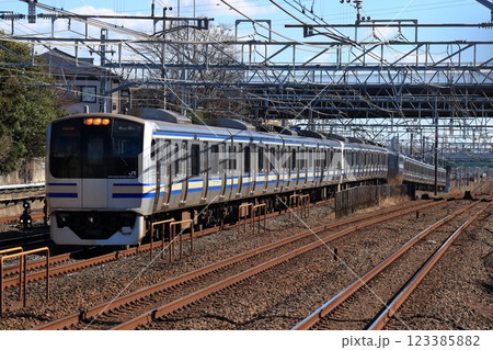 総武快速線の移動需要を支えたE217系電車 総武快速線の移動需要を支えたE217系電車 123385882