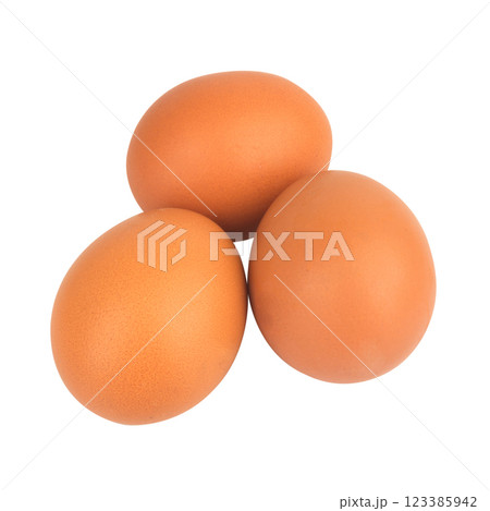 egg duck isolated on white background 123385942