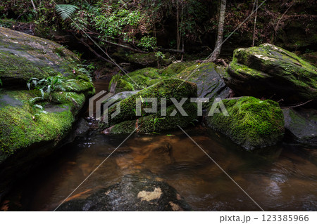 Waterfall in the rainforest National Park, Thailand 123385966