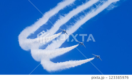 ラインアブレストロール 123385976